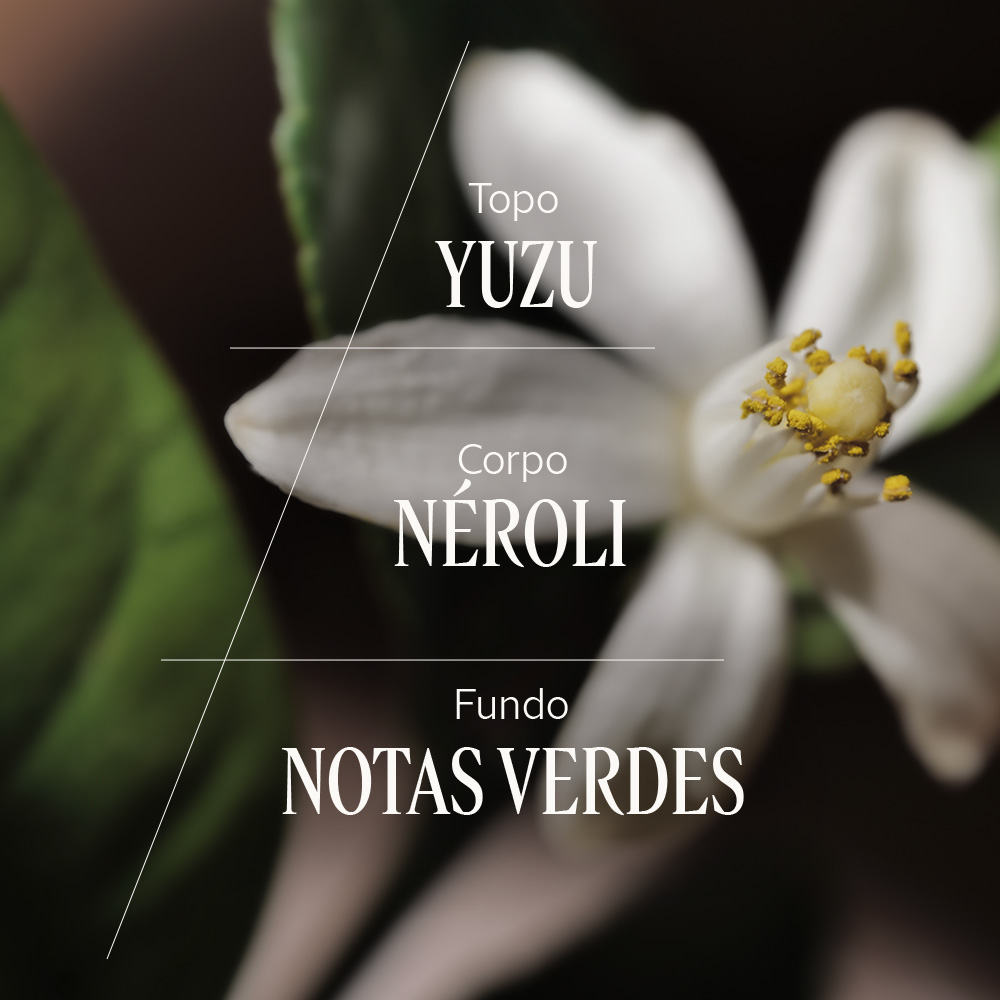 Difusor de Ambiente N&eacute;roli Yuzu 240mL + Varetas, , large image number 3